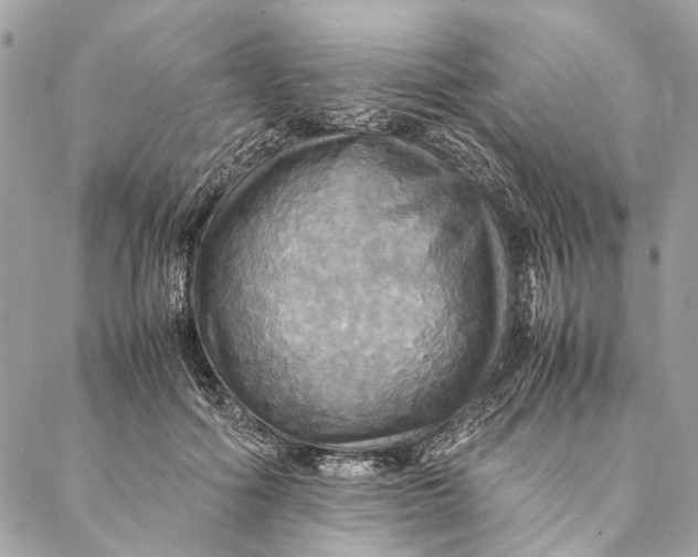 X0000086940602200705071420