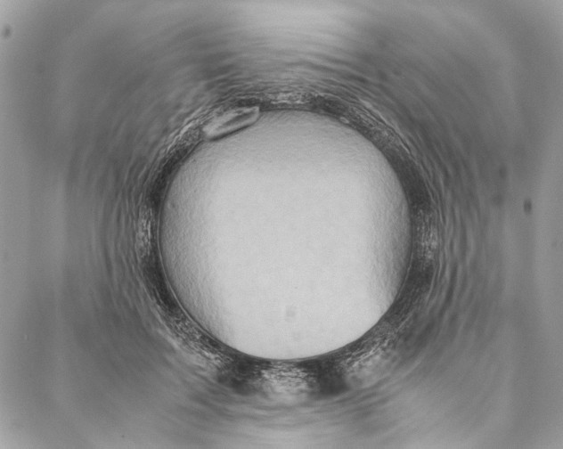 X0000086940603200705071420