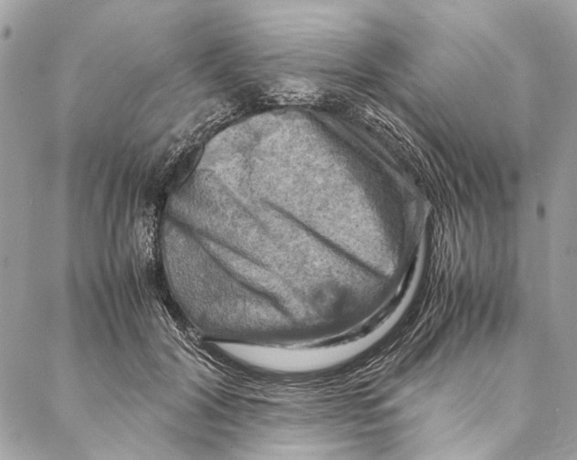 X0000086940604200705071420