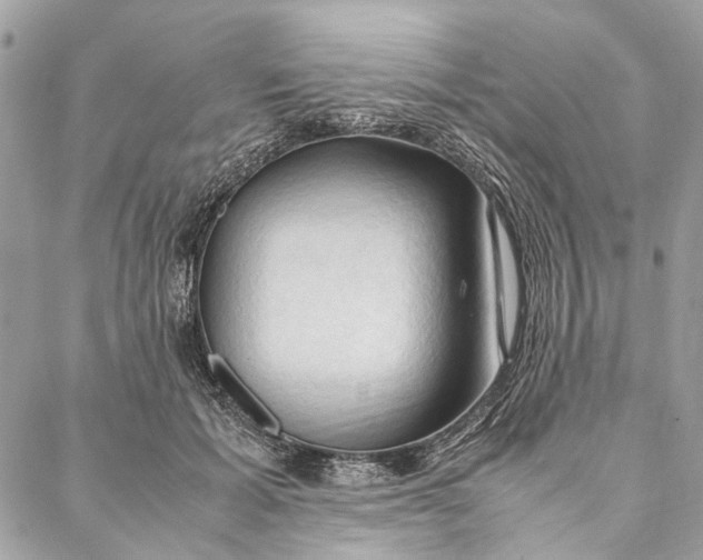 X0000086940605200705071420