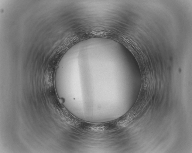 X0000086940606200705071420