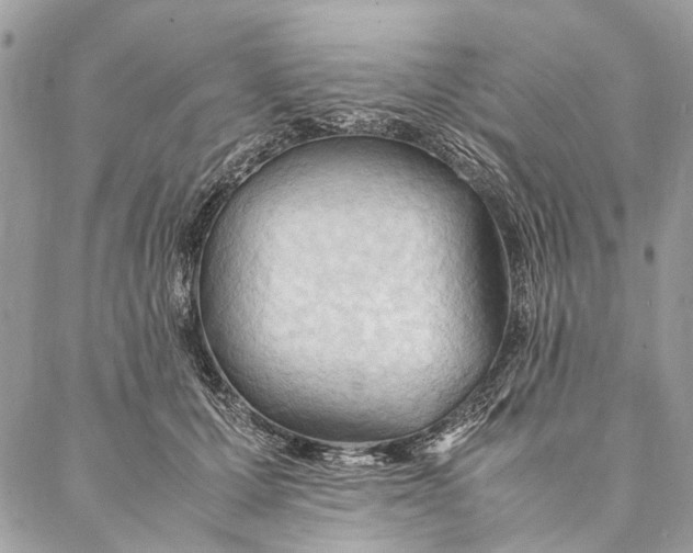 X0000086940607200705071420