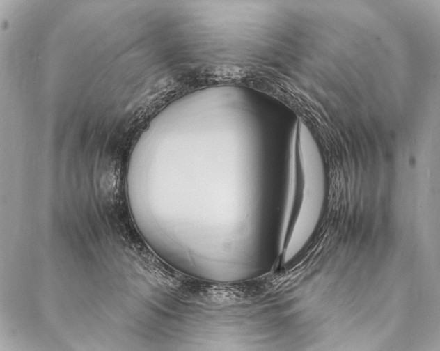 X0000086940608200705071420