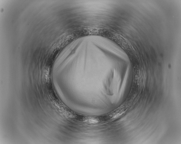 X0000086940610200705071420