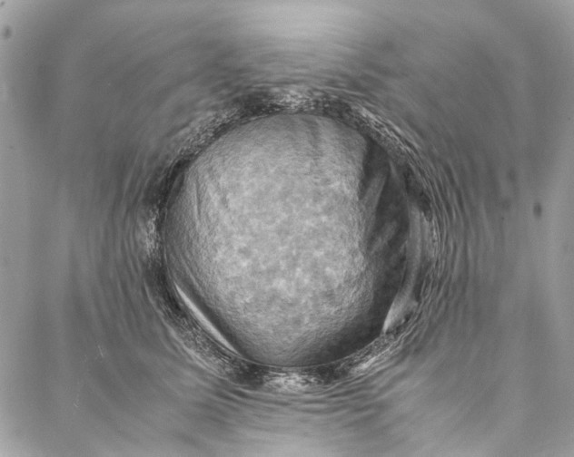 X0000086940611200705071420