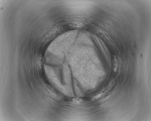 X0000086940612200705071420