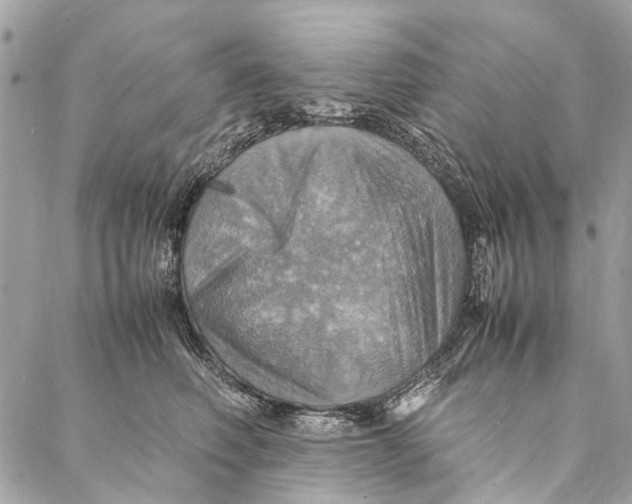 X0000086940614200705071420