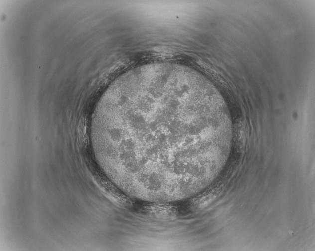 X0000086940615200705071420