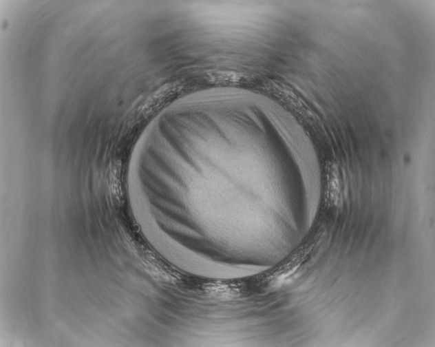 X0000086940616200705071420