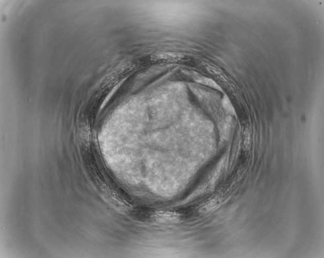 X0000086940617200705071420