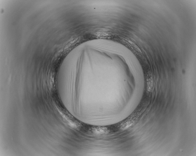 X0000086940618200705071420