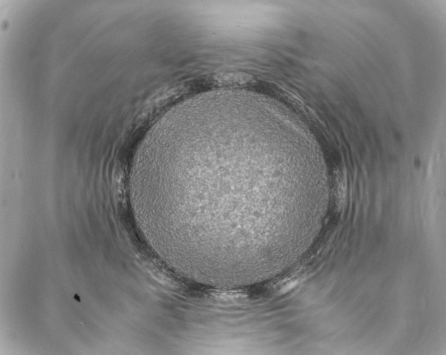 X0000086940619200705071420