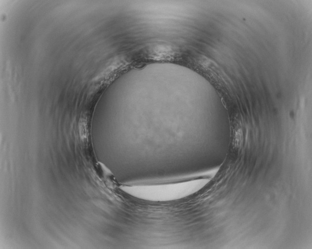 X0000086940620200705071420