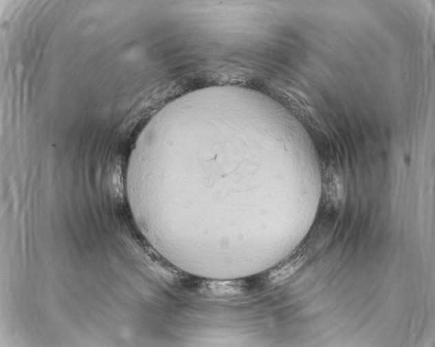 X0000086940622200705071419