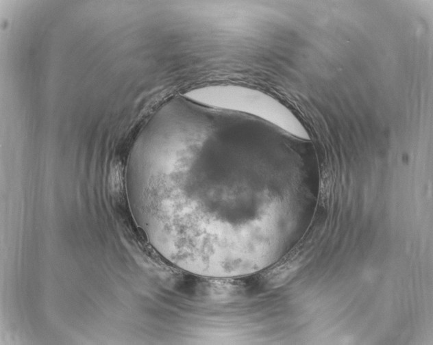 X0000086940623200705071419