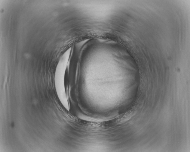 X0000086940624200705071419