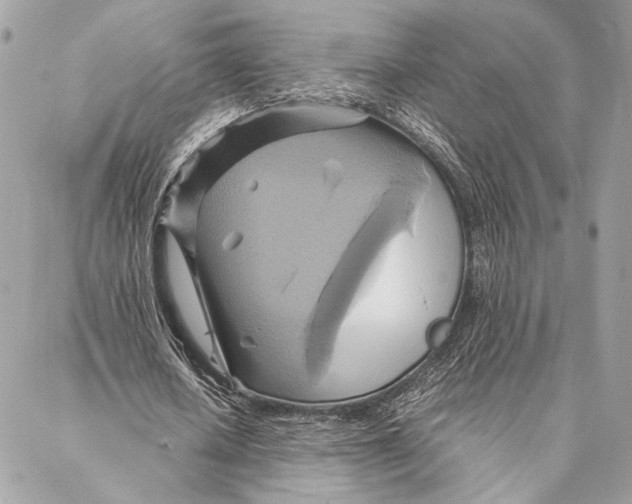 X0000086940626200705071419