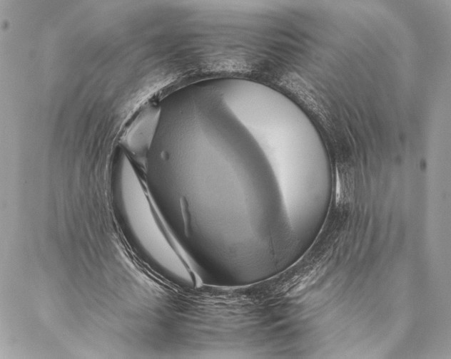 X0000086940627200705071419