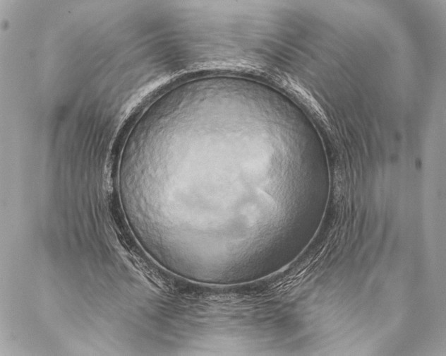 X0000086940628200705071419