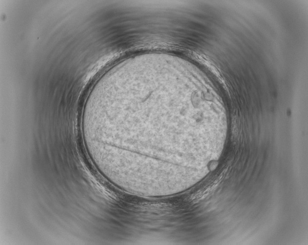 X0000086940629200705071419