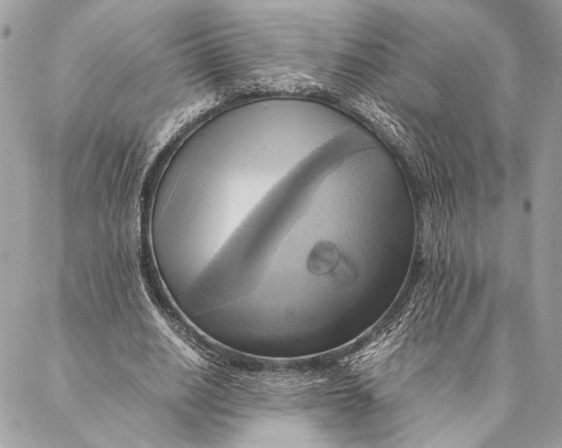 X0000086940630200705071419