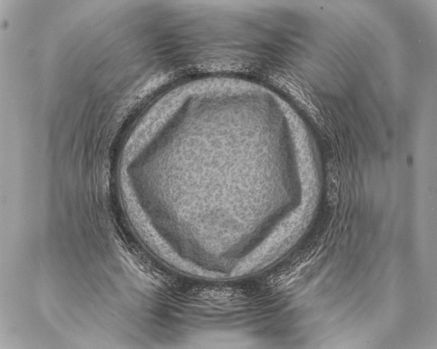 X0000086940631200705071419