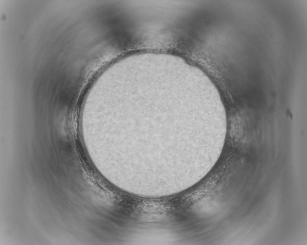 X0000086940632200705071419