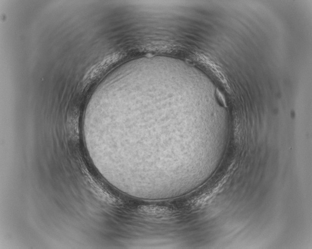 X0000086940633200705071419