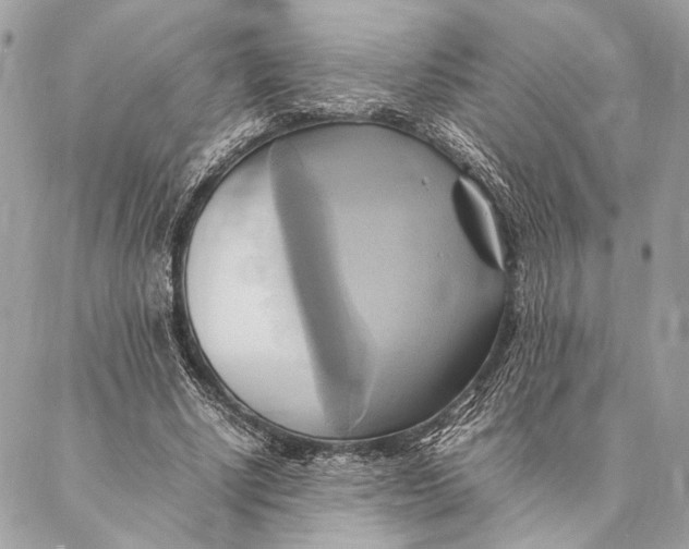 X0000086940634200705071419