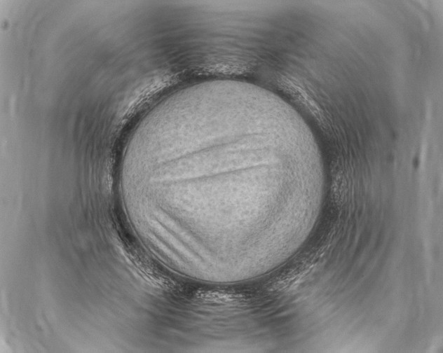 X0000086940635200705071419