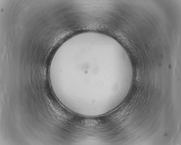 X0000086940636200705071419