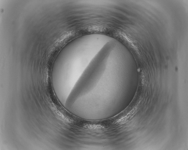 X0000086940637200705071419