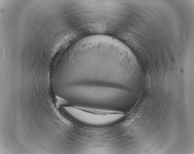 X0000086940638200705071419