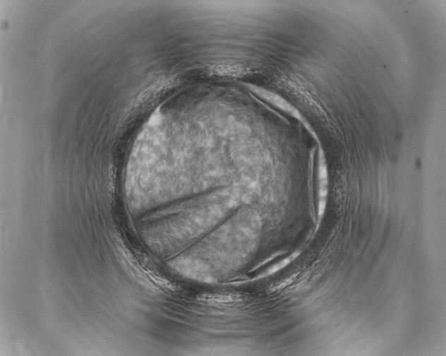 X0000086940639200705071419