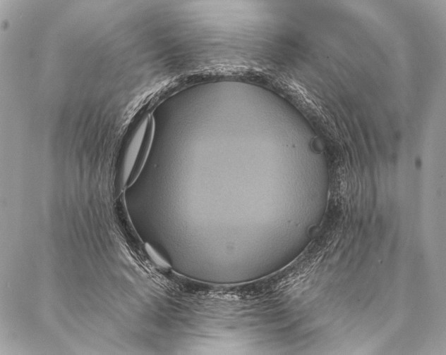 X0000086940640200705071419