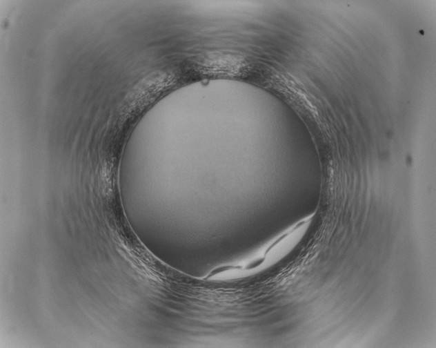 X0000086940641200705071419