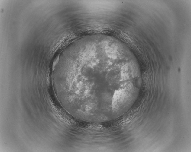 X0000086940642200705071419