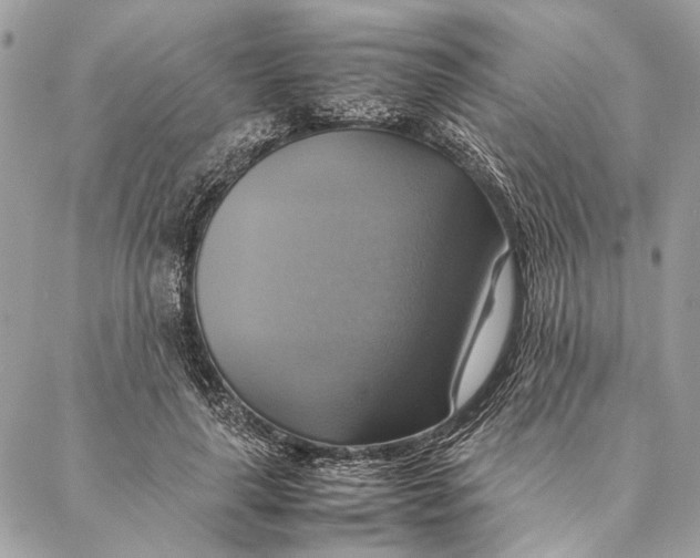 X0000086940643200705071419