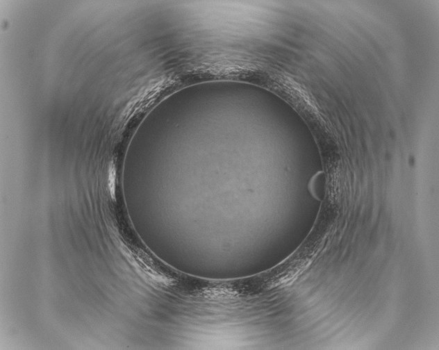 X0000086940644200705071419