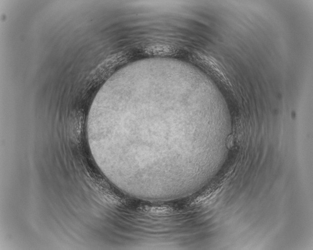 X0000086940645200705071419