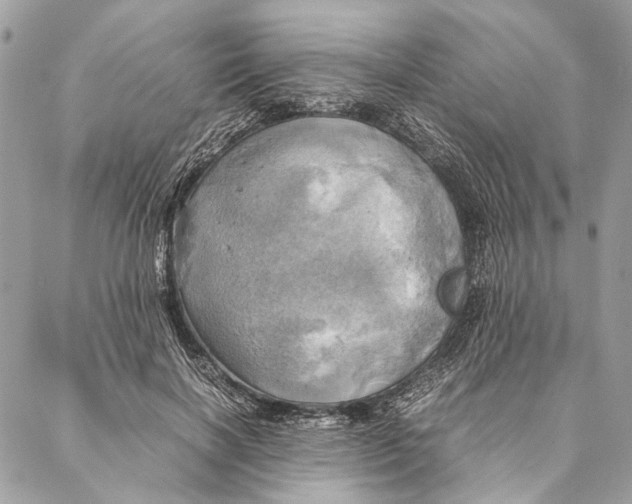 X0000086940646200705071419