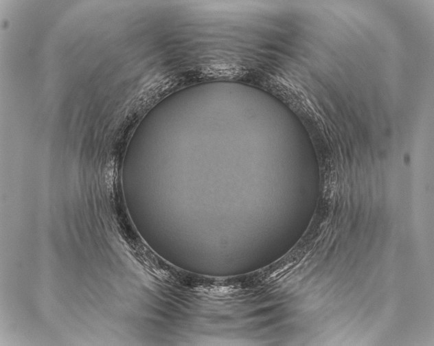 X0000086940647200705071419