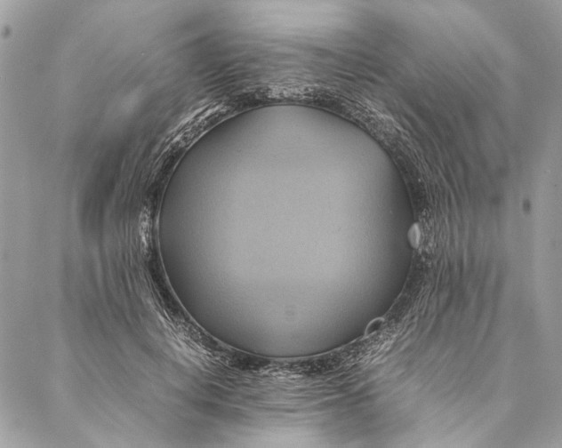 X0000086940648200705071419