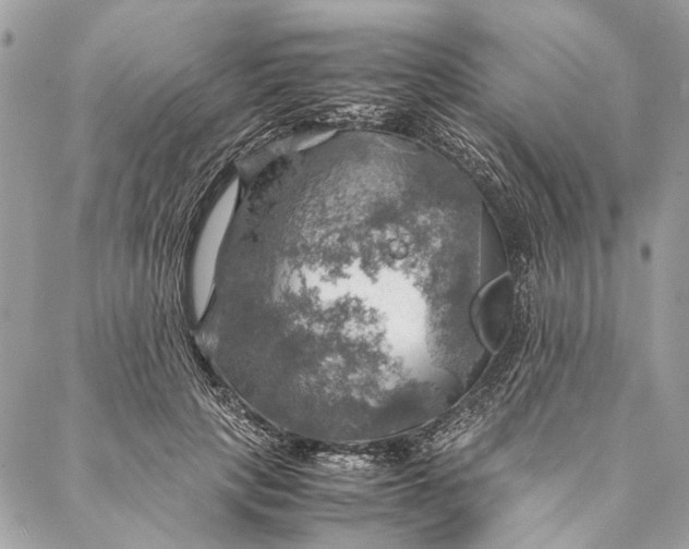 X0000086940649200705071419