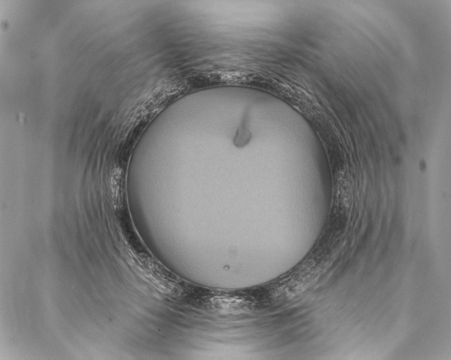 X0000086940650200705071419