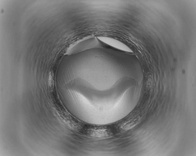 X0000086940651200705071419