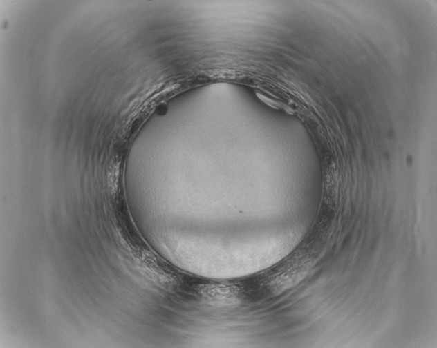 X0000086940652200705071419