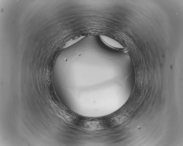 X0000086940653200705071419