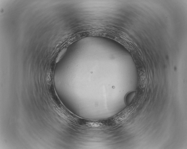 X0000086940654200705071419