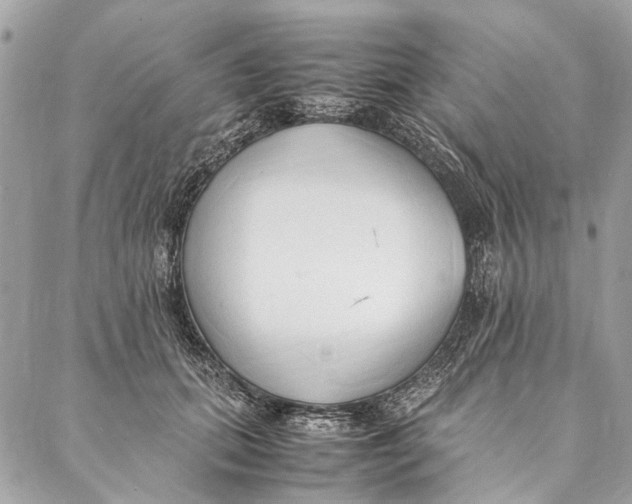 X0000086940655200705071419